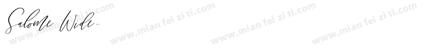 Salome Wide字体转换